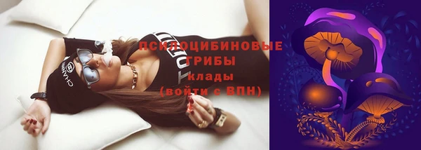 СК Медвежьегорск